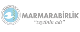 marmarabilrik-logo